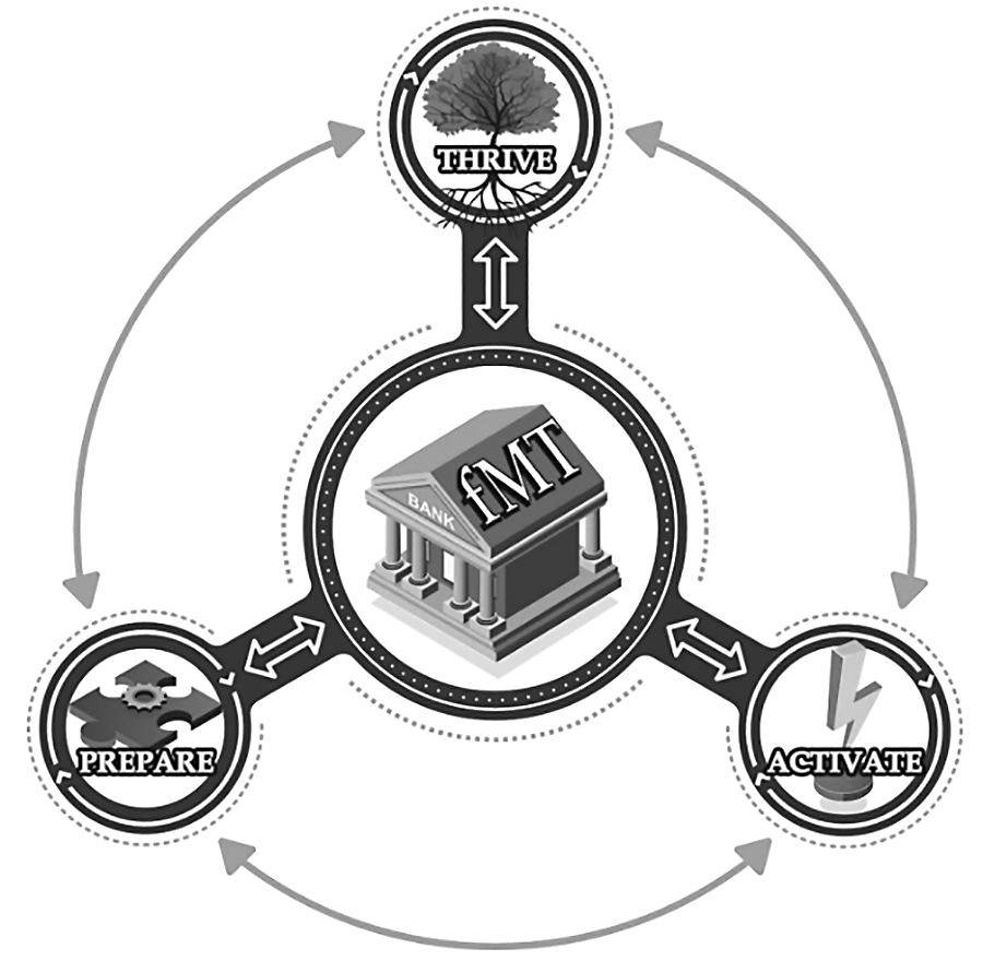 fMT Model Diagram